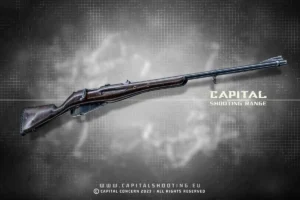 Mosin Nagant FEG GV Tiro Budapest Fusil Francotirador